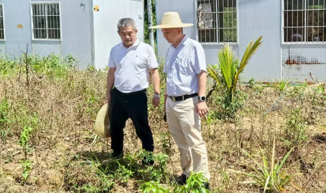 1756951218500018313.jpg 1756951218500018313.jpg