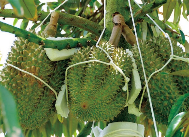 1758252393987046949.jpg 2.jpg